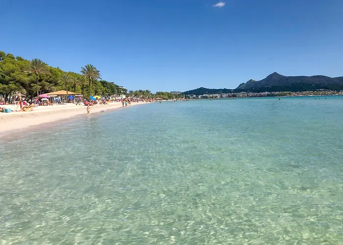 Can Jane Port D Alcudia