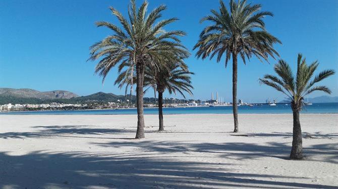Jane Port D Alcudia Apartment